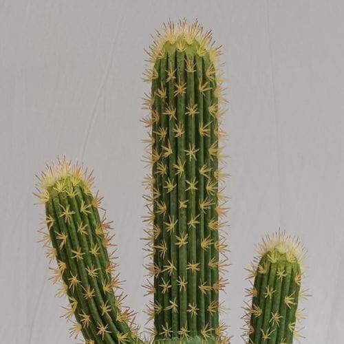 Artificial San Pedro Cactus, 85 CM