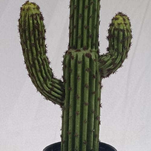 Tabletop Succulents Decor  46 CM