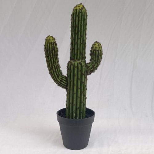 Tabletop Succulents Decor  46 CM