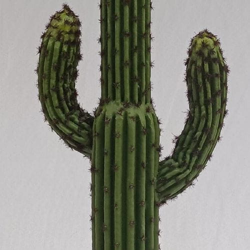 Tabletop Succulents Plants 60 CM