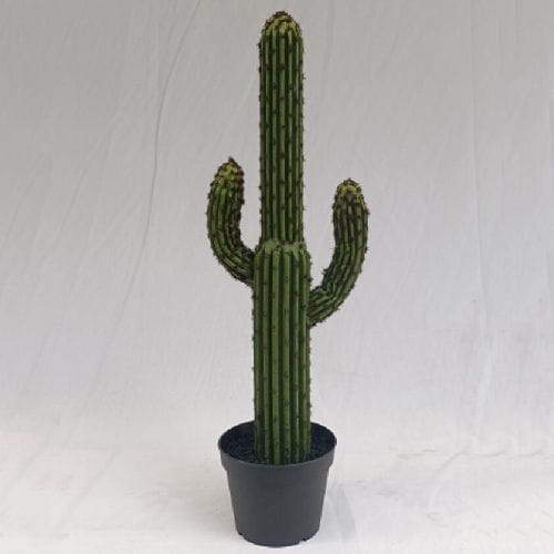 Tabletop Succulents Plants 60 CM