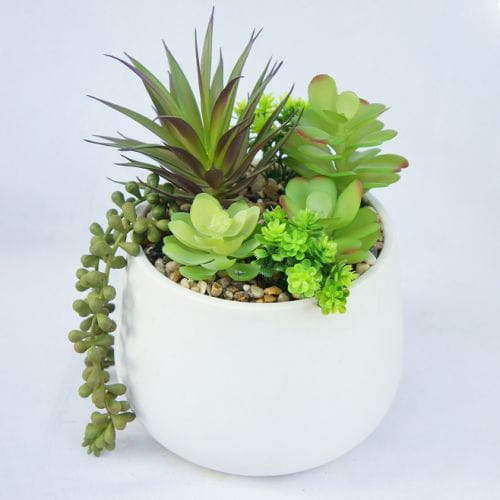 Artificial Assorted Small Succulents, 24 CM