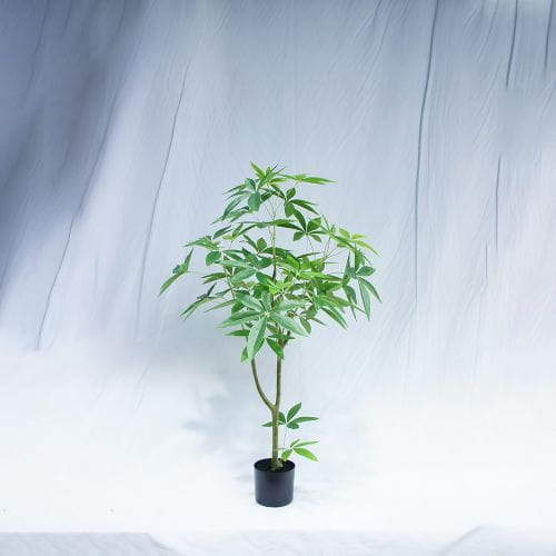 Faux Pachira Aquatica Plant, 180CM