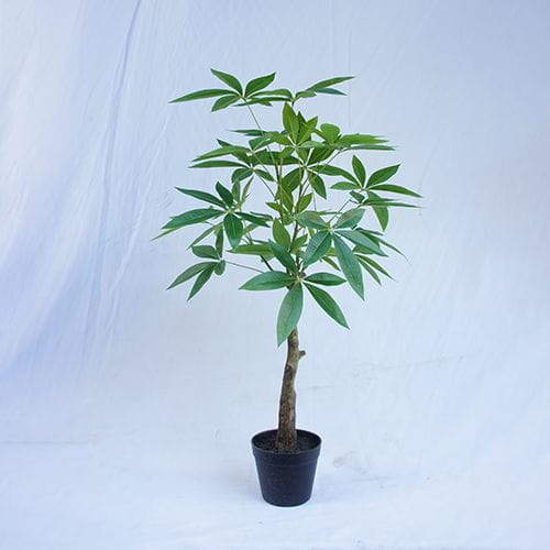 Artificial Popular Plastic Money Tree Wholesale, 90CM