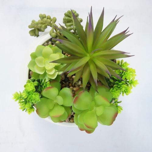 Artificial Assorted Small Succulents, 24 CM