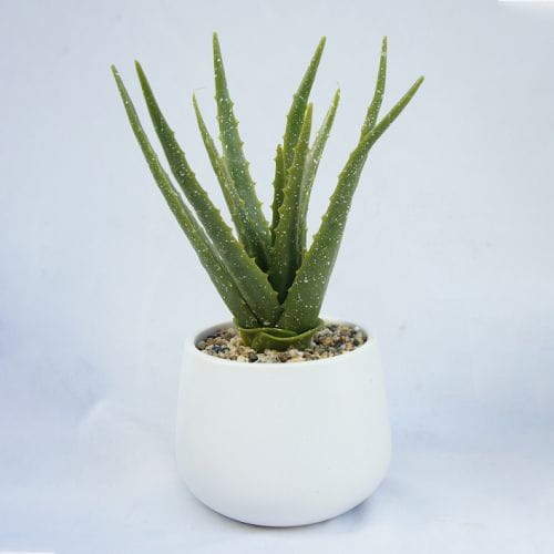 Fake Aloe Succulents, 35CM