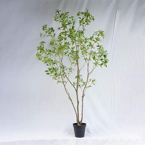 Faux Large Tree, New Design, 240CM