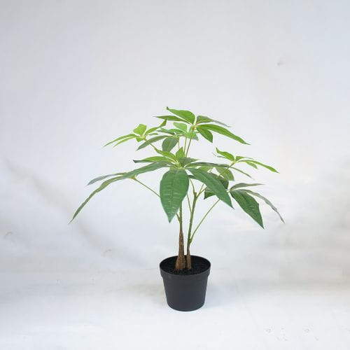 Man Made Plastic Small Money Tree Plant, 40CM