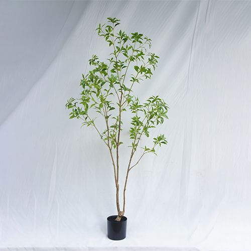 Replica 6.9 Feet Pieris Japonica Tree, 210CM