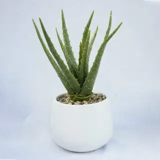 Fake Aloe Succulents, 35CM