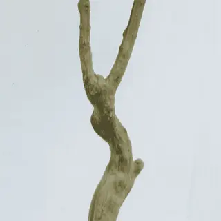 Artificial Pachira Aquatica 180CM
