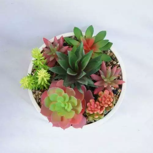 Colorful Faux Small Realistic Succulent, 18CM