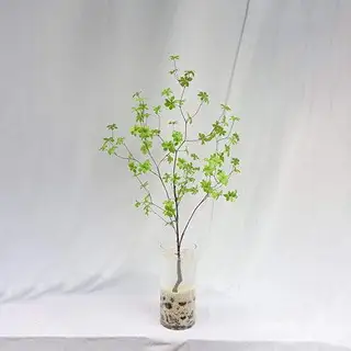 Man-made Awesome Enkianthus Perulatus Branch, 120CM