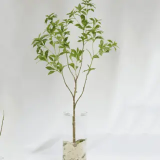 Artificial Pieris Japonica 120CM