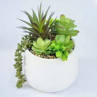 Artificial Assorted Small Succulents, 24 CM