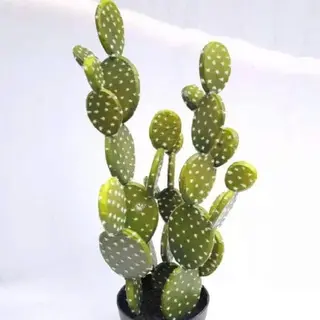 Faux Opuntia Humifusa, 63 CM