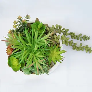 Artificial Small Succulents Plant 19 CM