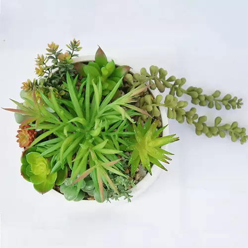 Artificial Small Succulents Plant 19 CM