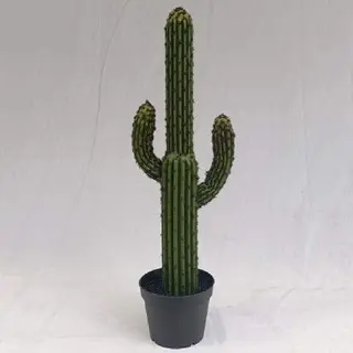 Tabletop Succulents Plants 60 CM