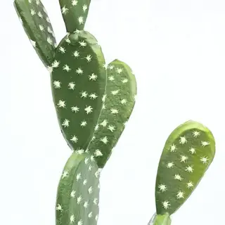 Artificial  Cactus Plants 60 CM