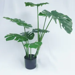 Artificial Monstera Deliciosa Tree 75 CM