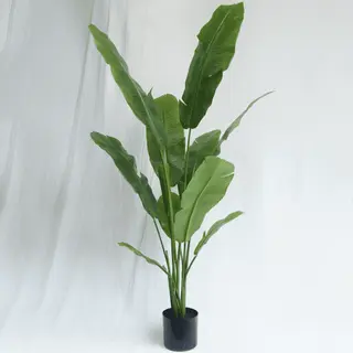 Artificial Musa Basjoo Bonsai 150CM