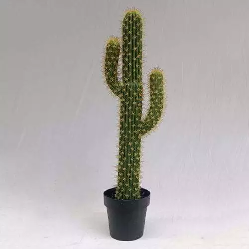 Tabletop Faux San Pedro Cactus, 94 CM