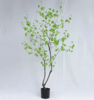 Artificial Enkianthus Perulatus 180CM