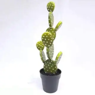 Faux Barbary Fig 40 CM