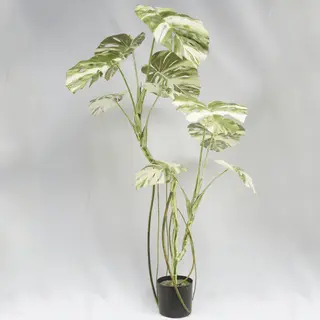 Artificial Monstera Deliciosa Variegata Tree 150 CM
