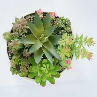 Artificial Small Succulents Plant 18 CM