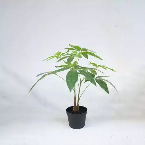Man Made Plastic Small Money Tree Plant, 40CM