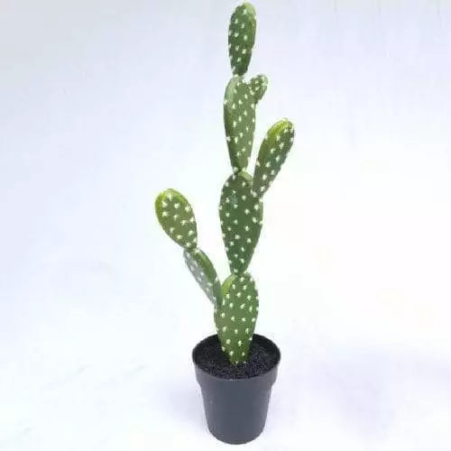 Faux Tabletop Cactus  46 CM