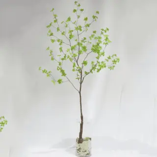 Artificial Enkianthus Perulatus