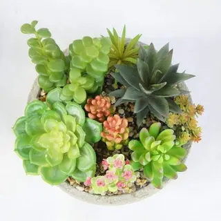 Fake Mini Succulents, 20CM