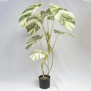 Artificial Monstera Deliciosa Variegata Tree 120 CM