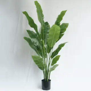Artificial Musa Basjoo Bonsai 180CM