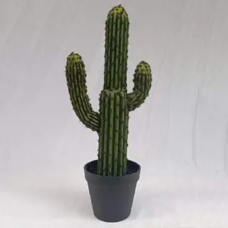 Tabletop Succulents Decor  46 CM