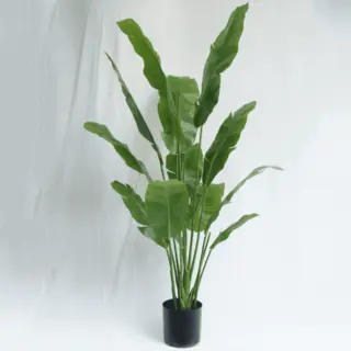 Artificial Musa Basjoo Bonsai 165CM