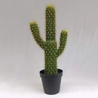 Artificial San Pedro Cactus, 85 CM