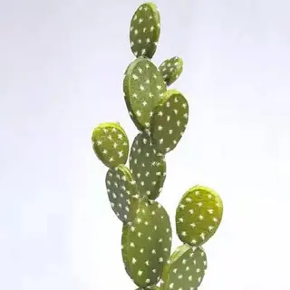 Faux Barbary Fig Cactus 52 CM