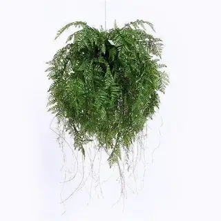 Artificial Fern Hanging Plants