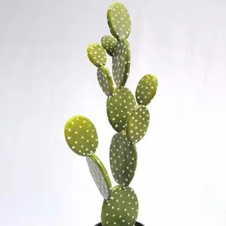 Artificial Barbary Fig Succulents 62 CM