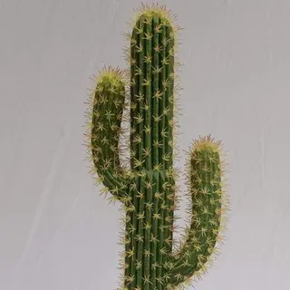 Tabletop Faux San Pedro Cactus, 94 CM