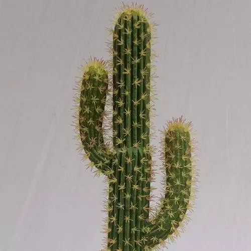 Tabletop Faux San Pedro Cactus, 94 CM