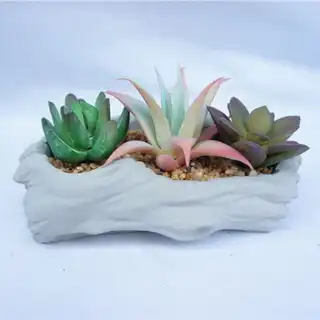 Fashion Fake Assorted Succulents Plants, 9 CM