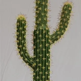 Artificial San Pedro Succulents, 120 CM