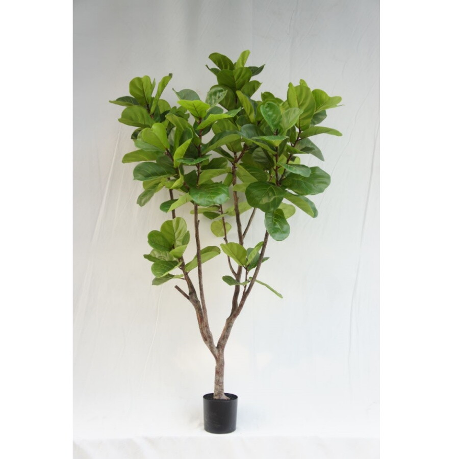 Faux Large Ficus Lyrata Tree, 210CM