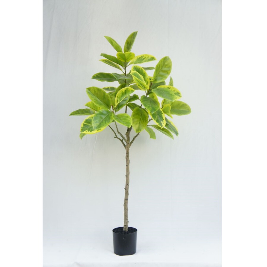 Artificial Lifelike Ficus Altissima, 150CM