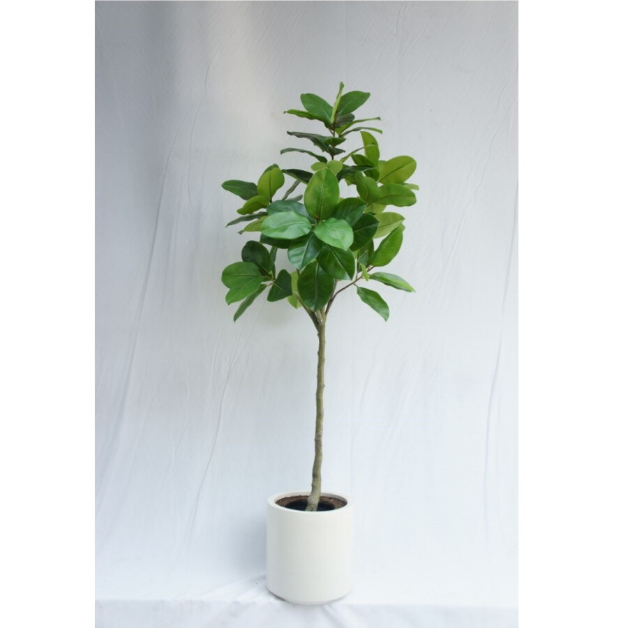 Artificial Lifelike Ficus Altissima, 150CM
